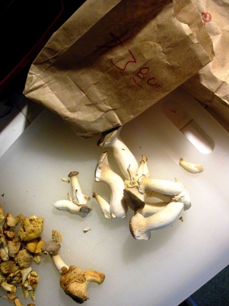 sack of mushrooms